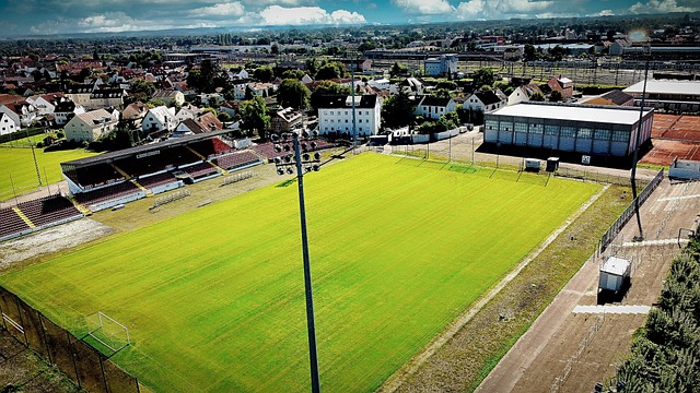 他的表现无 他的表现无